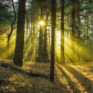 啊灬啊灬啊灬深高潮了最新版
